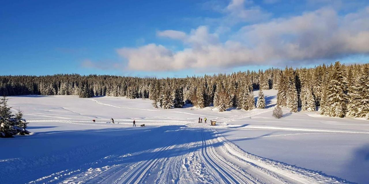 Horská Kvilda - Ubytování U Chvalů Exterior foto