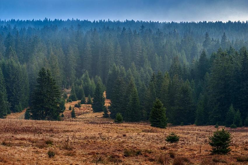 Horská Kvilda - Ubytování U Chvalů Exterior foto