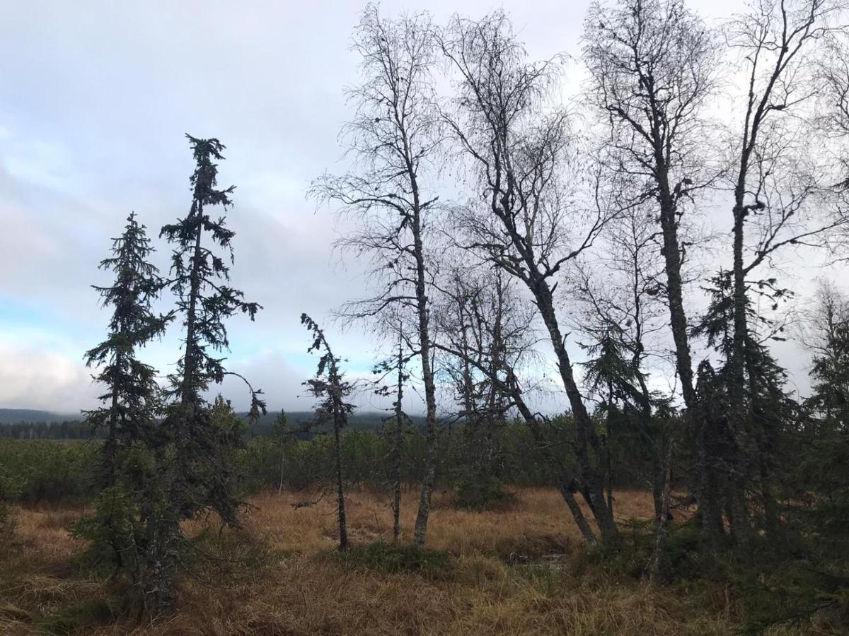 Horská Kvilda - Ubytování U Chvalů Exterior foto
