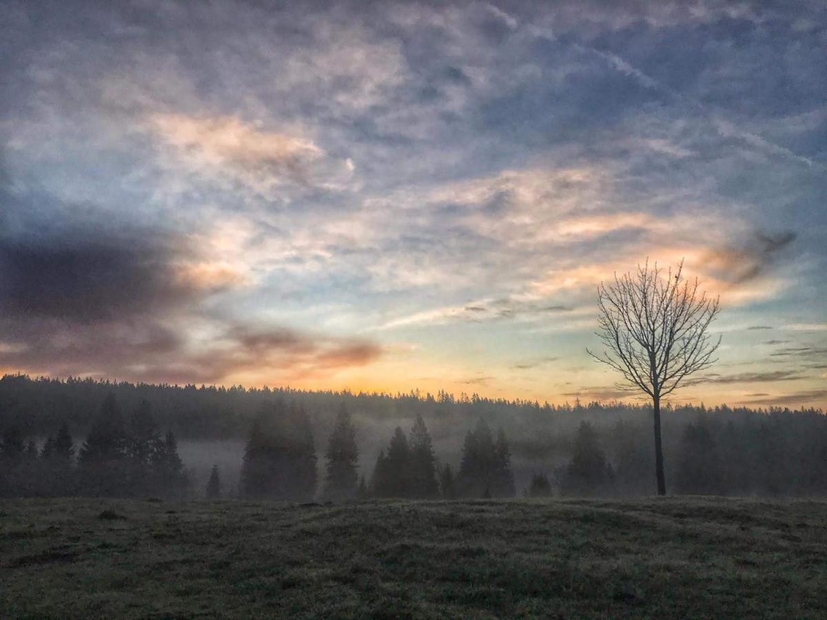 Horská Kvilda - Ubytování U Chvalů Exterior foto