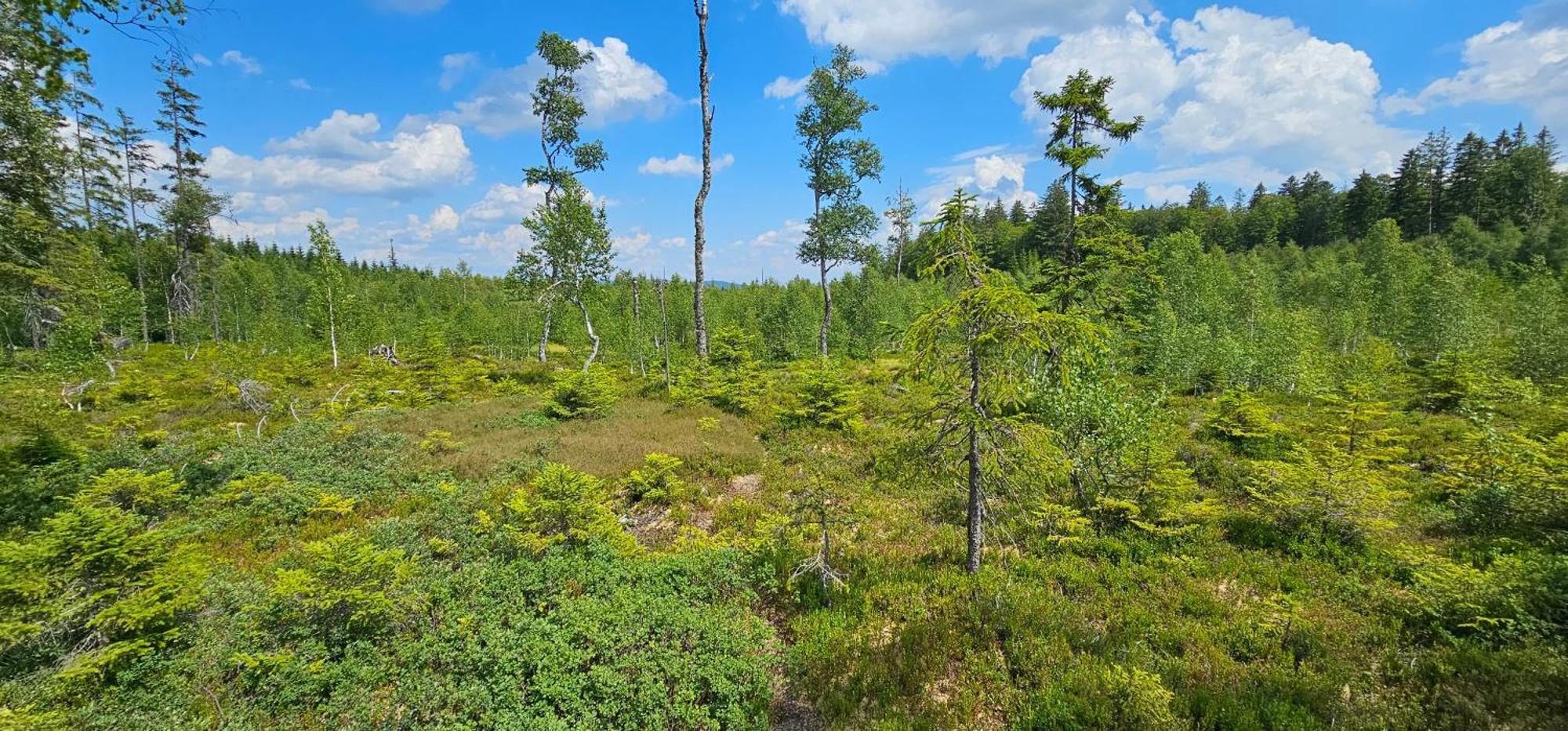 Horská Kvilda - Ubytování U Chvalů Exterior foto