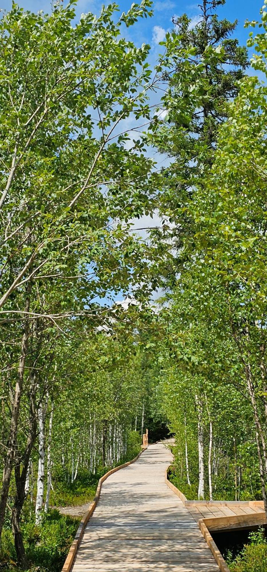 Horská Kvilda - Ubytování U Chvalů Exterior foto