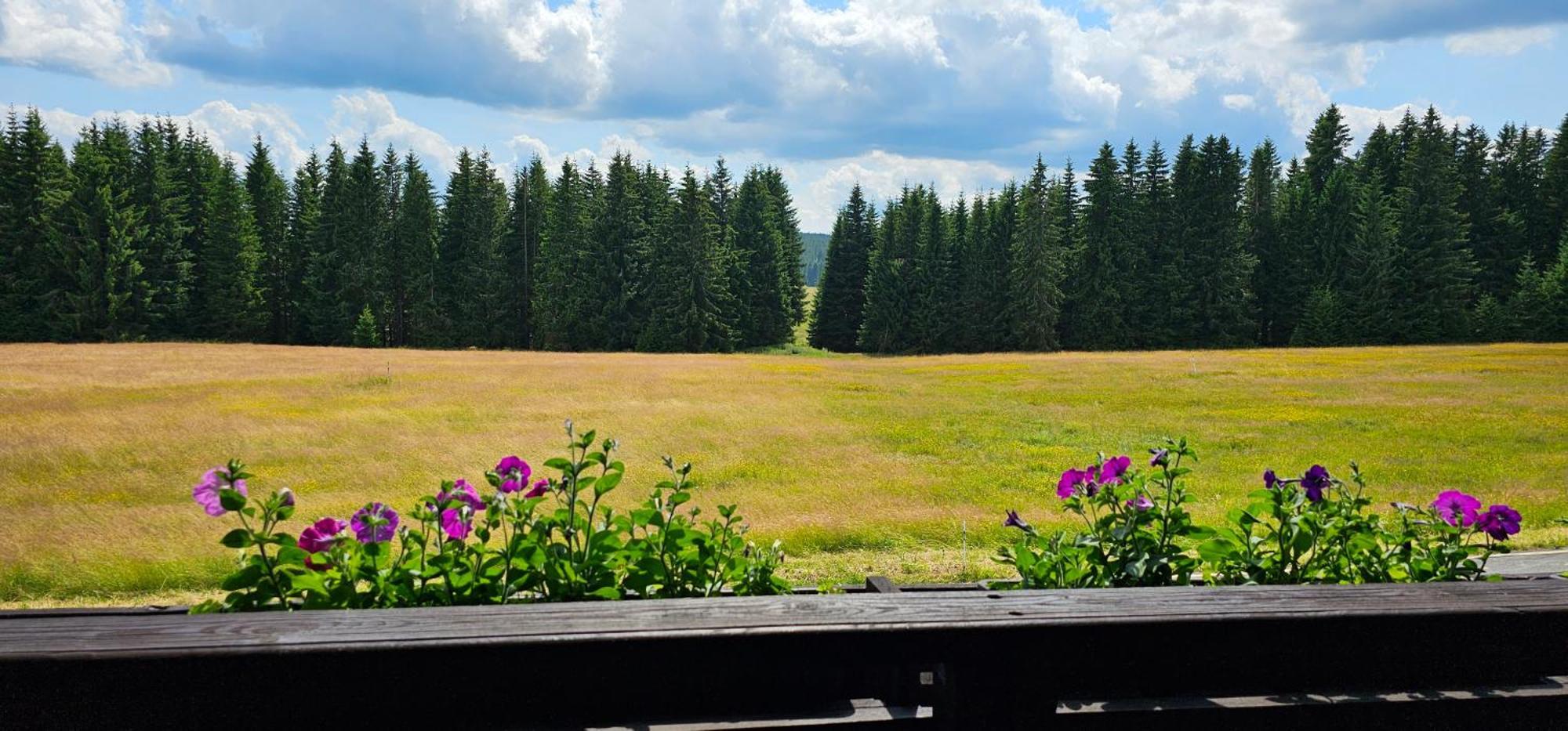 Horská Kvilda - Ubytování U Chvalů Exterior foto